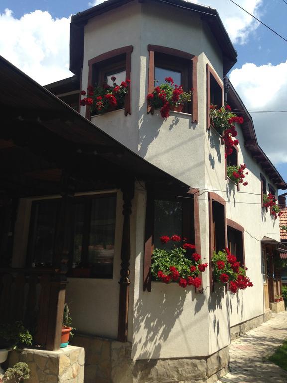 Pensiunea Casa Bianca - Bucovina วามา ภายนอก รูปภาพ
